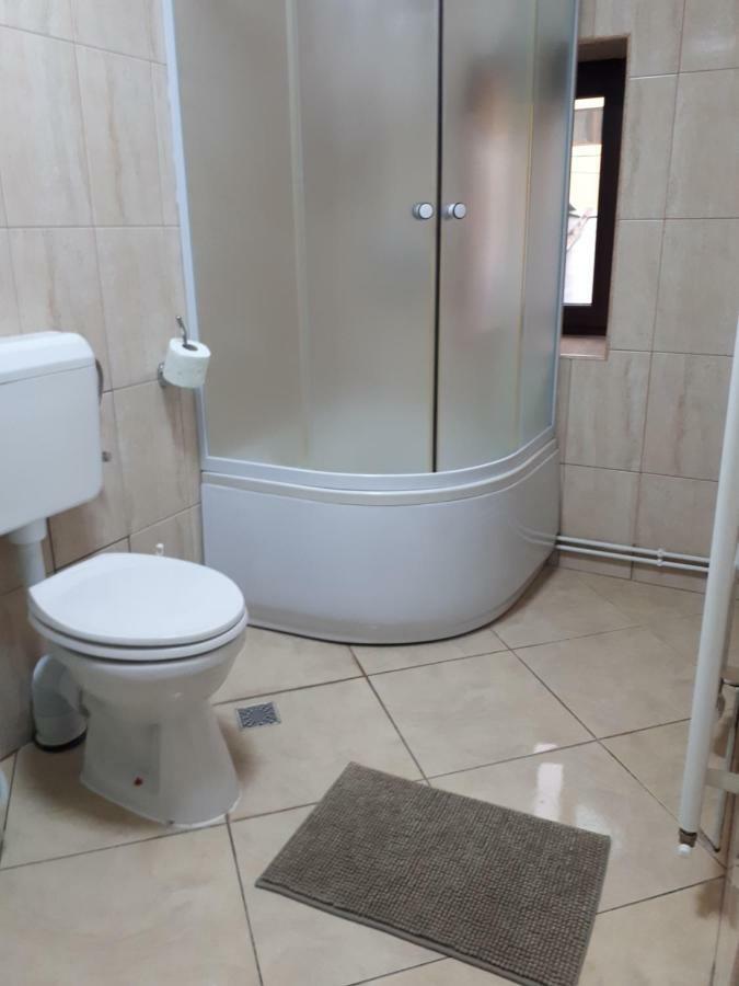 Victoria 1 Apartman Campina Kültér fotó